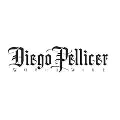 Diego Pellicer Worldwide Inc Logo